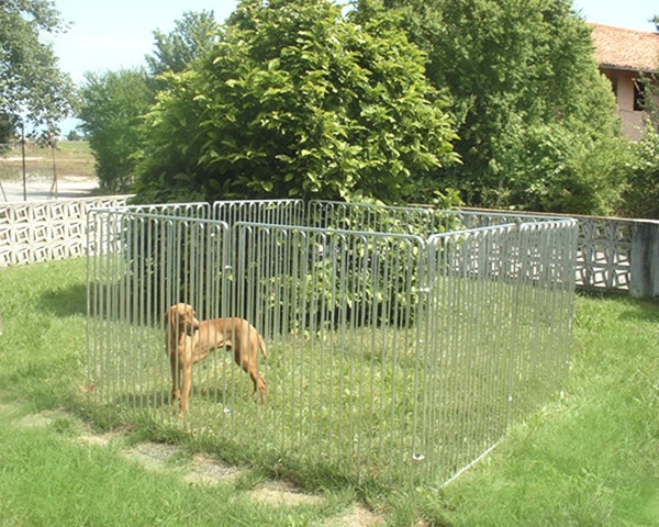 Come costruire un recinto per cani: box fai da te