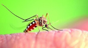 Perché acquistare un test per il West Nile può fare la differenza