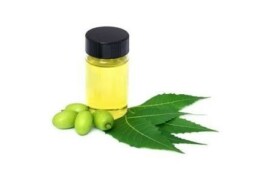 Olio di neem solubile: perché è pratico per orto, piante e giardino senza complicarsi la vita
