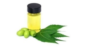 Olio di neem solubile: perché è pratico per orto, piante e giardino senza complicarsi la vita