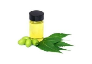 Olio di neem solubile: perché è pratico per orto, piante e giardino senza complicarsi la vita