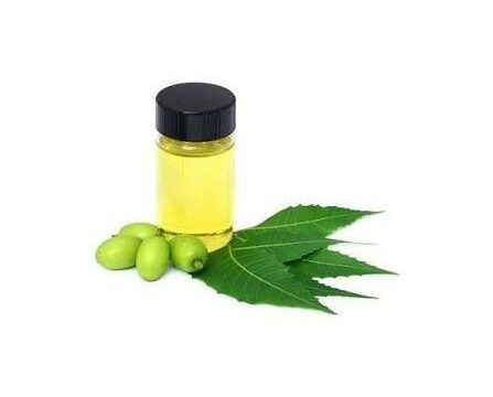 Olio di neem solubile: perché è pratico per orto, piante e giardino senza complicarsi la vita